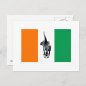 アイボリーコーストコートディボールサッカー旗 ポストカード (正面/裏面)