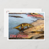 アイボリーコースト – ヤモスソ –  ポストカード (正面/裏面)