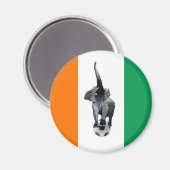 アイボリーコーテディヴォーレ国旗 マグネット (正面/裏面)