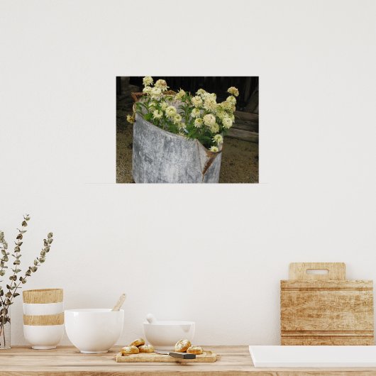 アイボリージニアス ポスター (キッチン)