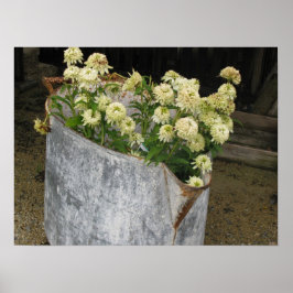 アイボリージニアス ポスター