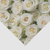 アイボリーバラティッシュペーパー 薄葉紙 (詳細)