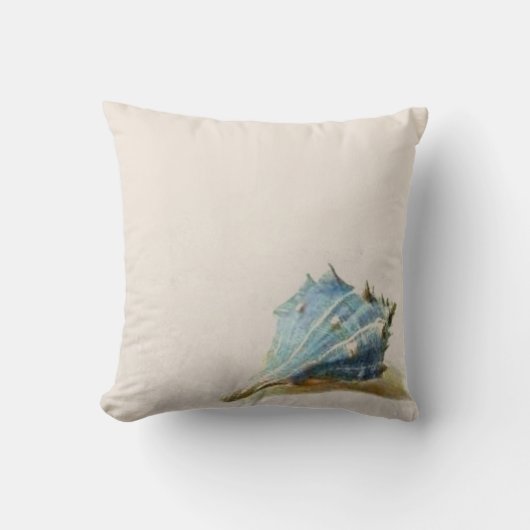 アイボリーブルーヴィンテージシーセルビーチハウス クッション (正面)