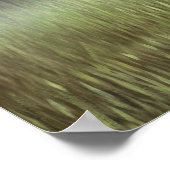 アイボリーミスト ポスター (角)