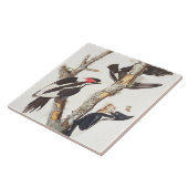 アイボリー勘定書を出されたキツツキ1829年、(プリント) タイル (側面)