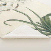 アイボリー園 シェルパブランケット (3/4)