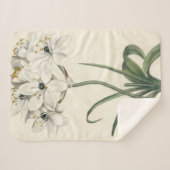 アイボリー園 シェルパブランケット (正面(横))