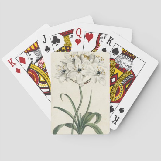 アイボリー園 トランプ (裏面)