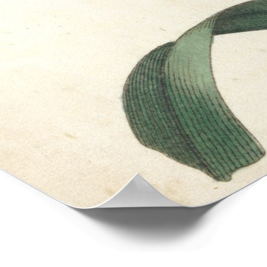 アイボリー園 ポスター (角)