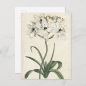 アイボリー園 ポストカード (正面/裏面)