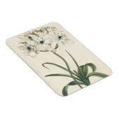 アイボリー園 マグネット (右側)