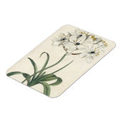 アイボリー園 マグネット (左側)