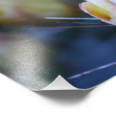 アイボリー芽 フォトプリント            (角)