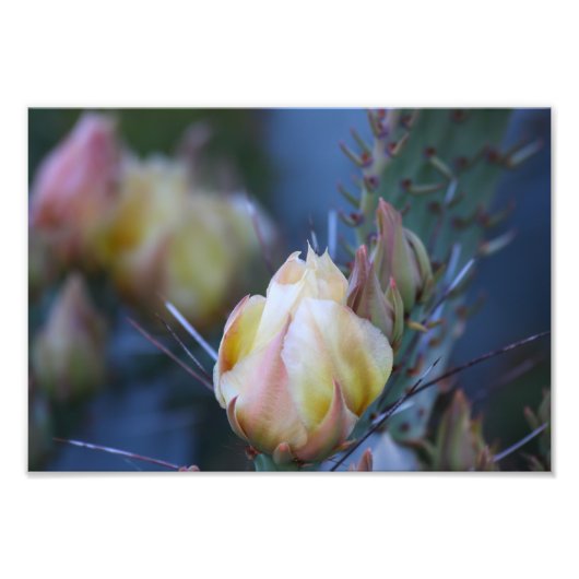 アイボリー芽 フォトプリント            (正面)