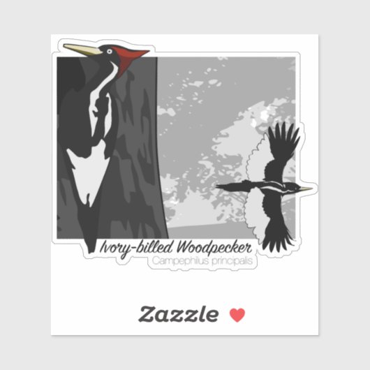 アイボリー シール (シート)