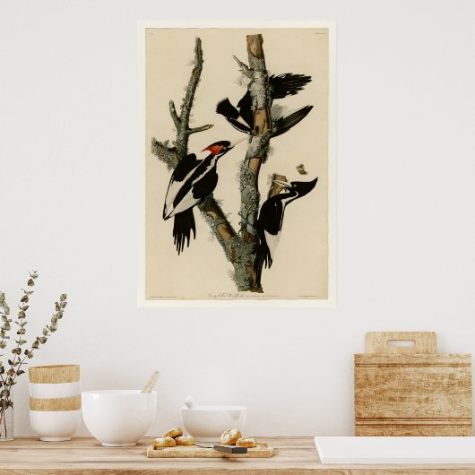 アイボリー ポスター (キッチン)