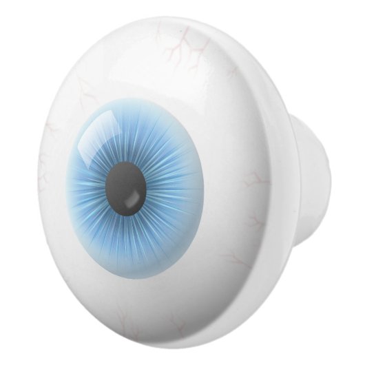 アイボールのドアのノブのキャビネットプル セラミックノブ (右)