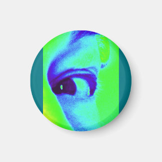 アイマグネット マグネット