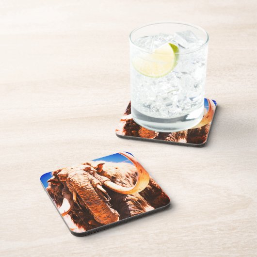 アイマンモス コースター (右側)