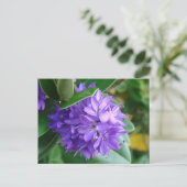 アイラはっきりしたンドのクリフデンの紫色の花 ポストカード (スタンド正面)