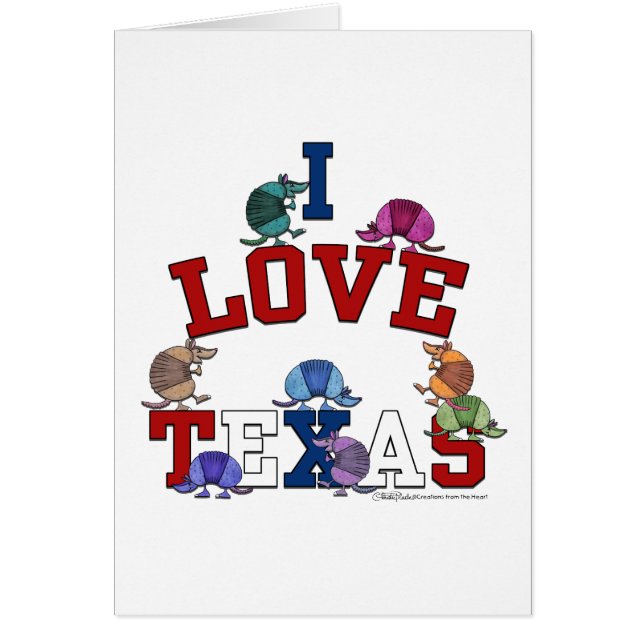 アイラブテキサス州アカラフルルマジロス (正面)