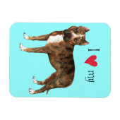 アイラブマイアメリカン（犬）スタッフォードテリア マグネット (横)