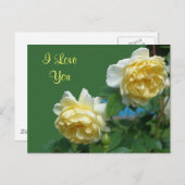 アイラブユーイエローローズフラワー写真はがき ポストカード (正面/裏面)