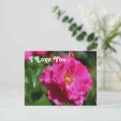 アイラブユーピンクローズはがき ポストカード (スタンド正面)