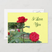 アイラブユーレッドバラズフラワー写真はがき ポストカード (正面/裏面)