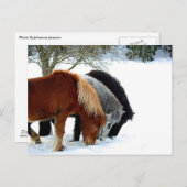 アイランズハスター – ハースト ポストカード (正面/裏面)