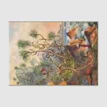 アイランドエルンストヘッケルデクページティッシュペーパー