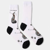 アイランドキツネソックス付きポーズ ソックス (右)