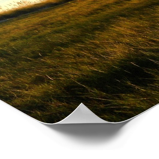 アイランドグラス ポスター (角)