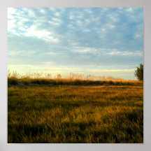 アイランドグラス