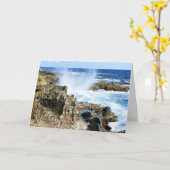 アイランドシーカリブのアルバ カード (黄色い花)