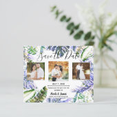 アイランドパープル薄紫トロピカルウェディング (スタンド正面)