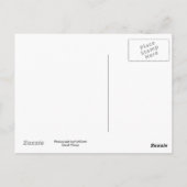 アイランドヒツジ ポストカード (裏面)