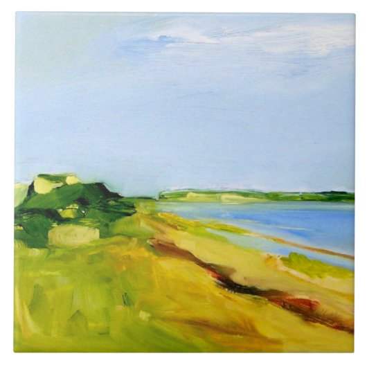 アイランドビューセラミックキッチンタイル タイル (正面)