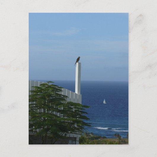 アイランドビュー ポストカード (正面)