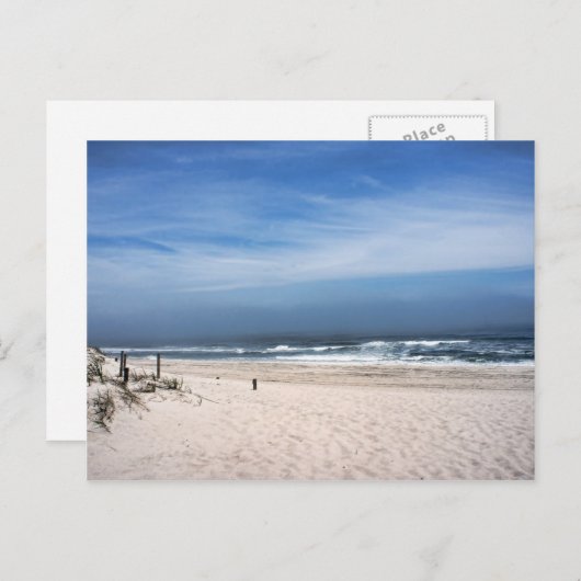 アイランドビーチ州パークザスイミングビーチ ポストカード (正面/裏面)