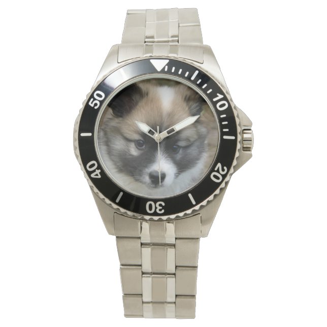 アイランドフント – アイスランドシェプドッグ 腕時計 (正面)