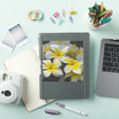 アイランドブロッサム – 黄色のプルメリア シール (iPadカバー)