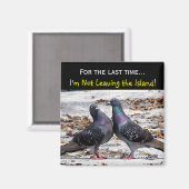 アイランドマグネット マグネット (正面/裏面)