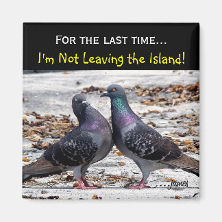 アイランドマグネット マグネット