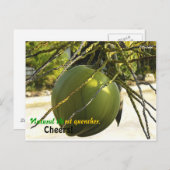 アイランド（ココナッツ） ポストカード (正面/裏面)