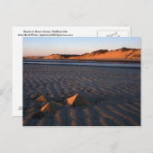 アイラン素晴らしドビーチウェルフリートケープコッド ポストカード (正面/裏面)