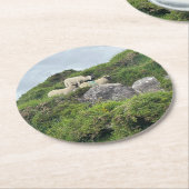 アイラ素朴ンドスリーアイリッシュヒツジ ラウンドペーパーコースター (アングル)