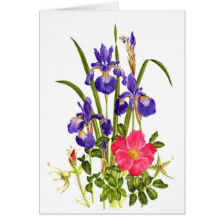 アイリスおよびビーチは上がりました