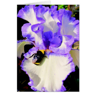 アイリスおよび蜂