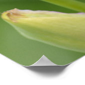 アイリスと引用文 ポスター (角)